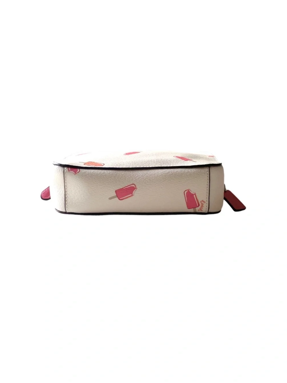 Coach Camera Bag Popsicle Print New